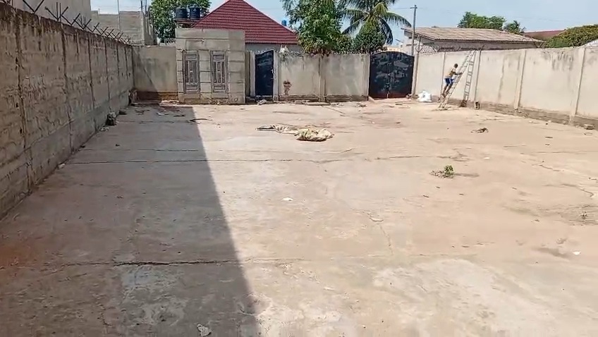 Magasin à louer