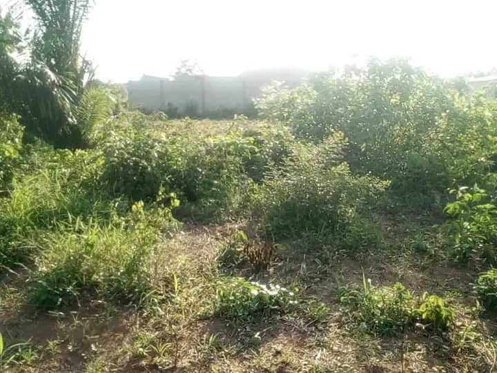 Parcelle à vendre
