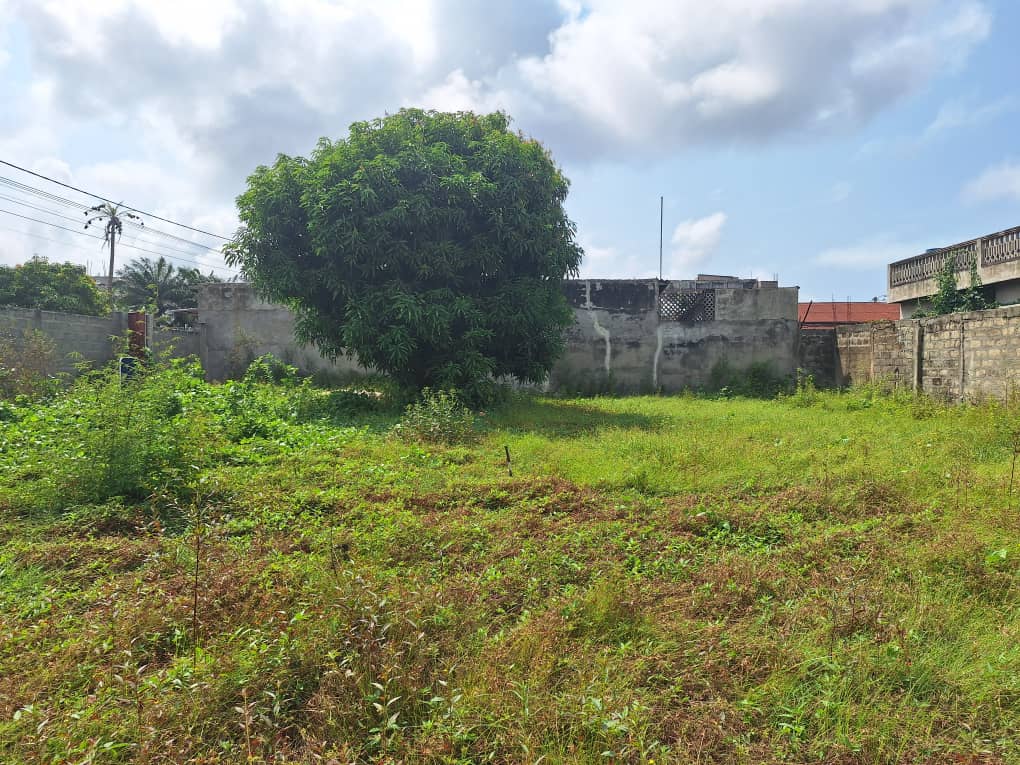 Parcelle à vendre